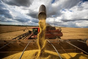 Senior Sistemas apresenta nova tecnologia para gerenciar safra durante o Top Farmers 2022