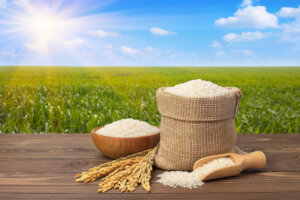 Senior Sistemas e Selgron se unem em parceria e integram software e hardware para classificação de grãos de arroz