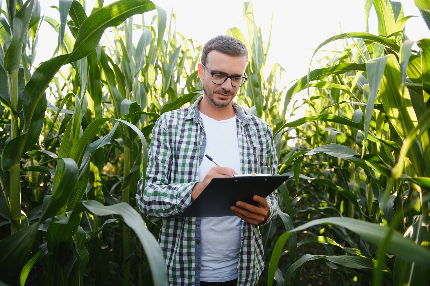 LCDPR: Livro Caixa Digital do Produtor Rural