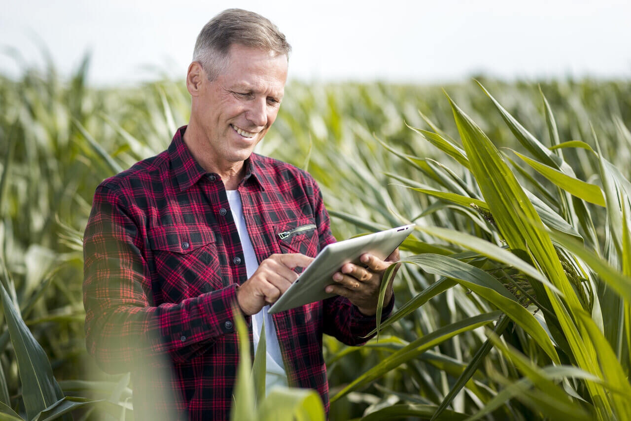 Receituário Agronômico: qual a importância do documento?