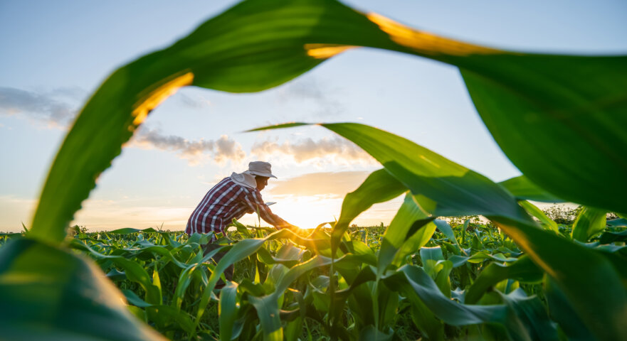 Agro soluções para cooperativas