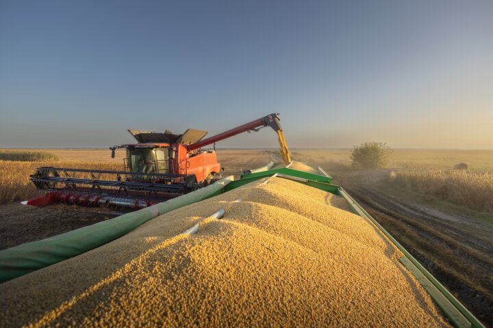 equipamento agrícola 